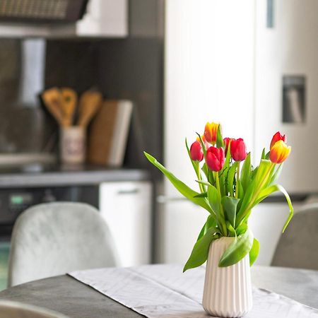 Apartment Vita Изола Екстериор снимка
